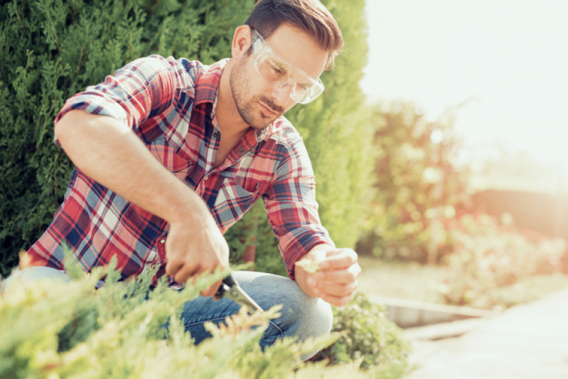 Jardinagem e Paisagismo em Escolas Preço Sumaré - Paisagismo e Jardinagem