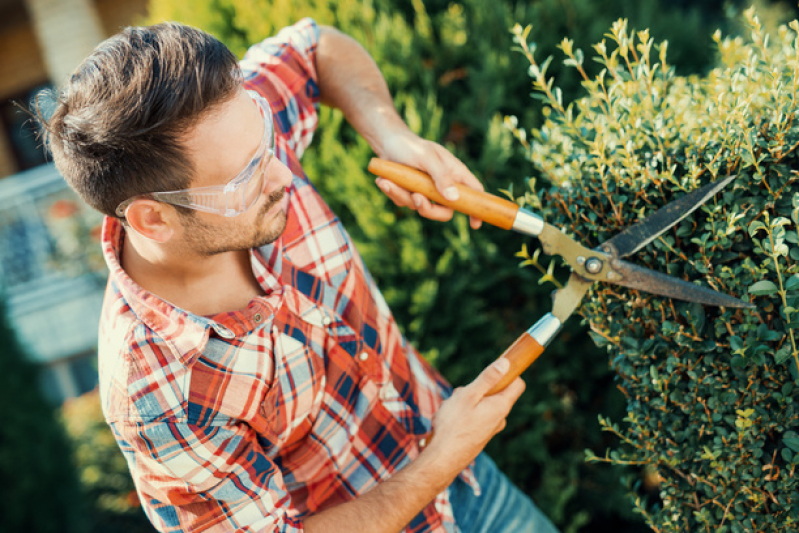 Jardinagem e Paisagismo em Escolas Ourinhos - Jardinagem e Paisagismo Empresarial