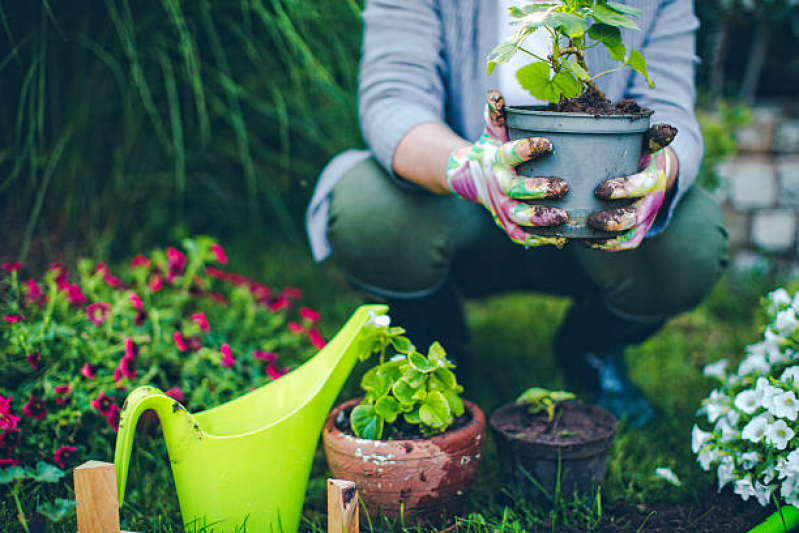 Jardinagem e Paisagismo Empresarial Preço Piracicaba - Jardinagem e Paisagismo para Escola