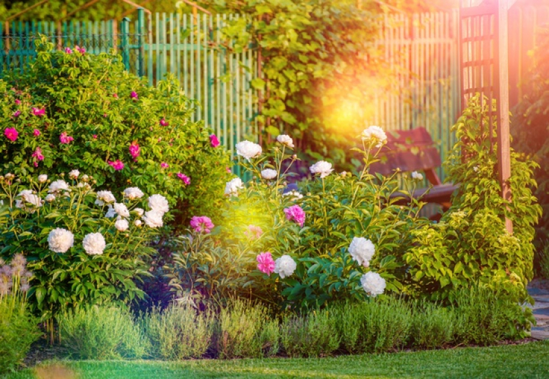 Jardinagem e Paisagismo para Escola Preço Ferraz de Vasconcelos - Paisagismo e Jardinagem