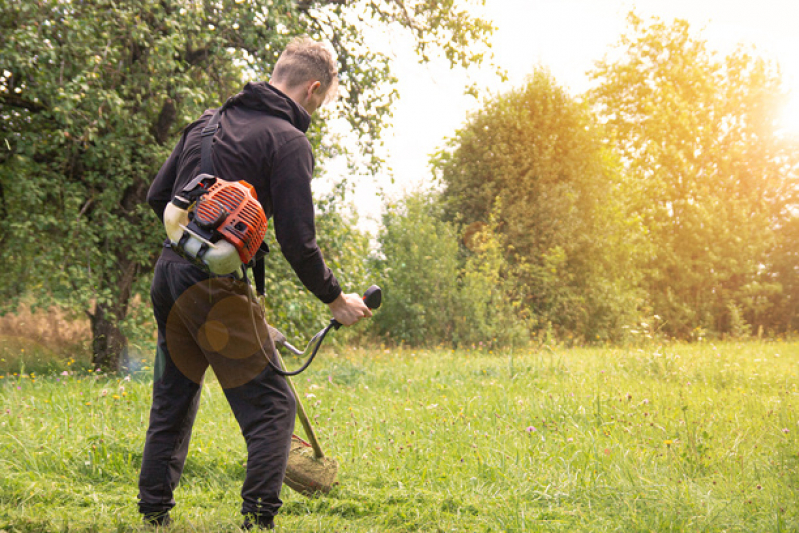 Paisagismo e Jardinagem em Condomínios Preço Vinhedo - Jardinagem e Paisagismo Empresarial