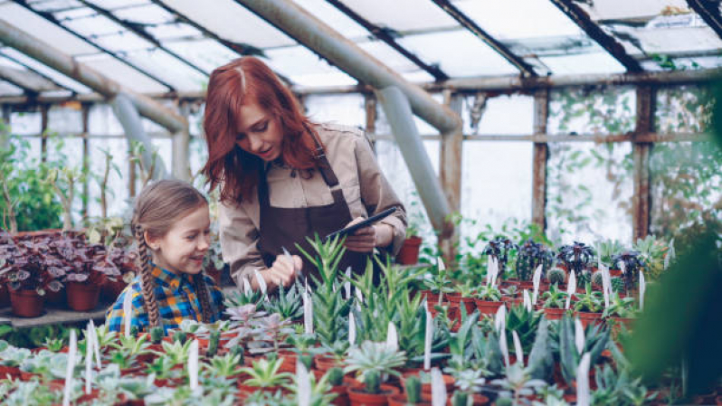 Paisagismo e Jardinagem Preço Cajamar - Paisagismo e Jardinagem em Pequenos Espaços