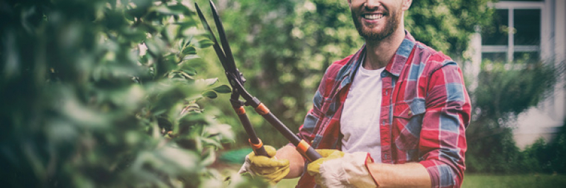 Serviço de Jardinagem e Paisagismo Botucatu - Paisagismo e Jardinagem em Condomínios