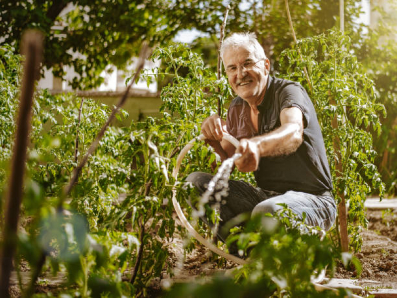 Serviço de Jardinagem Paisagismo Craraguatatuba - Paisagismo e Jardinagem em Pequenos Espaços