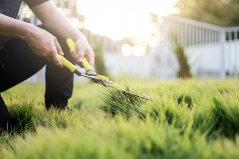 Serviço de Paisagismo e Jardinagem em Condomínios Itanhaém - Jardinagem e Paisagismo Empresarial