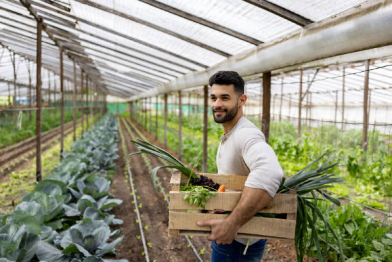 Serviço de Paisagismo e Jardinagem Craraguatatuba - Paisagismo e Jardinagem