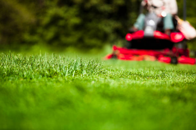 Serviço de Paisagismo Jardinagem Construção Civil Ourinhos - Paisagismo e Jardinagem em Pequenos Espaços