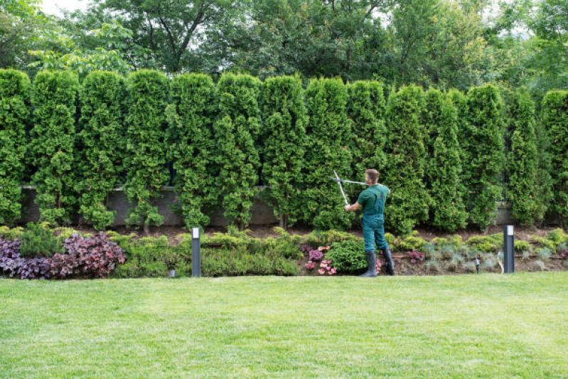 Serviço de Paisagismo Jardinagem Barretos - Paisagismo e Jardinagem em Pequenos Espaços