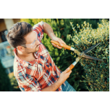 jardinagem e paisagismo em escolas Jaboticabal