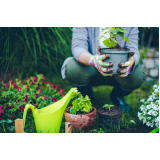 jardinagem e paisagismo empresarial preço Sorocaba