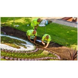 manutenção de jardins paisagismo preços Birigi