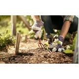 manutenção em jardins preços Zona Leste