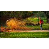 manutenção em jardins Indaiatuba