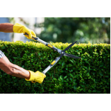 manutenção jardins verticais preços Carapicuiba