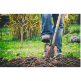 quanto custa manutenção em jardins Ribeirão Pires