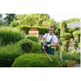 serviço de jardinagem e paisagismo empresarial Limeira
