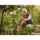 serviço de jardinagem paisagismo Limeira