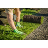 serviço de paisagismo e jardinagem em pequenos espaços Jaboticabal